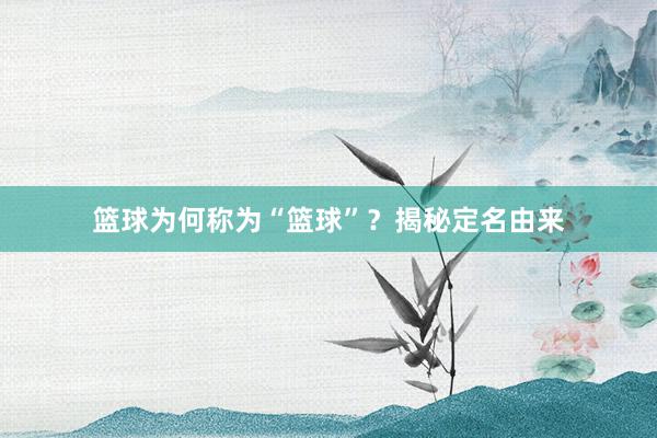 篮球为何称为“篮球”？揭秘定名由来